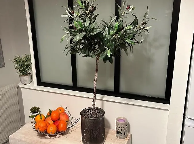 Maison 4 Personnes Confort Alentours Boulogne Sur Samer