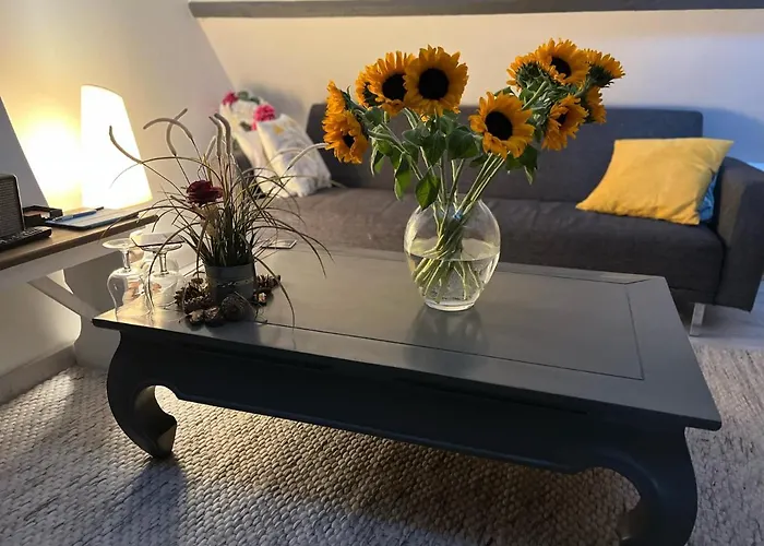 Maison 4 Personnes Confort Alentours Boulogne Sur * Samer